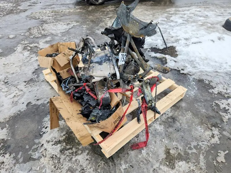 SKI-DOO SKANDIC TUNDRA FAN 3 2007