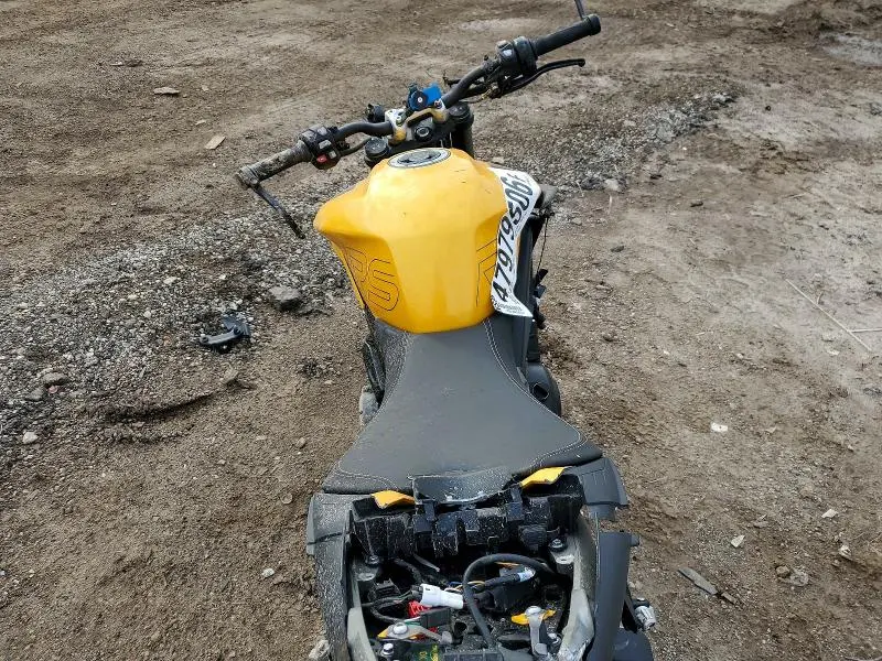 TRIUMPH STREET 2024