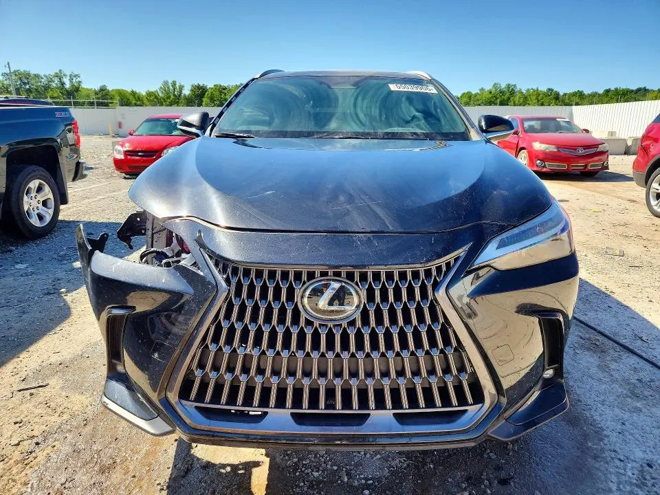 LEXUS NX 2024 VIN 2T2AGCEZ8RC043248