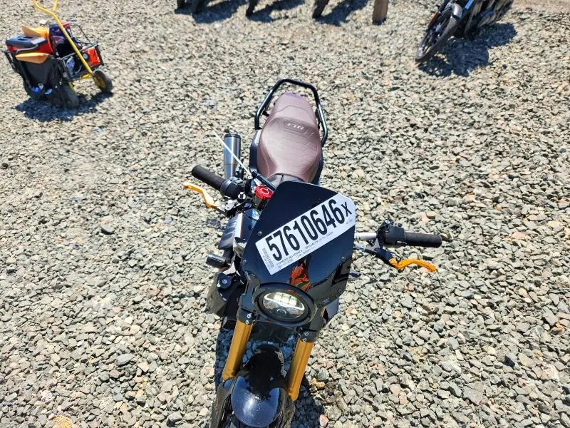 INDIAN ALL OTHER 2019