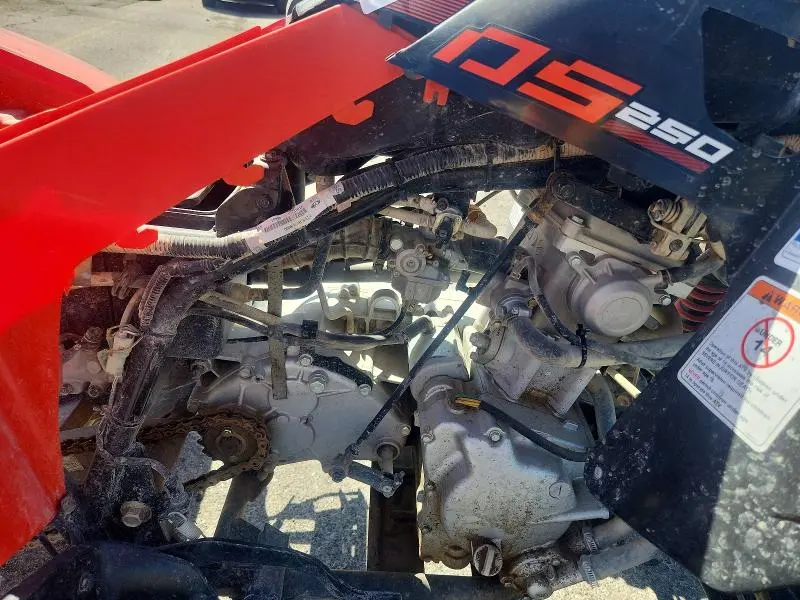 CAN-AM  2022
