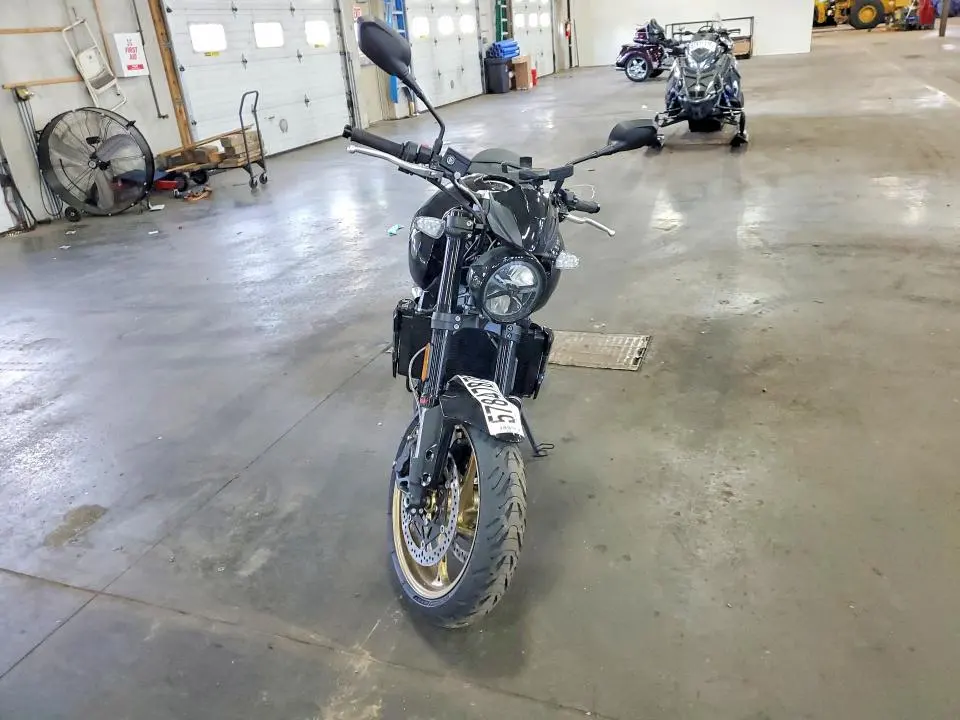 TRIUMPH TRIDENT 90 2026